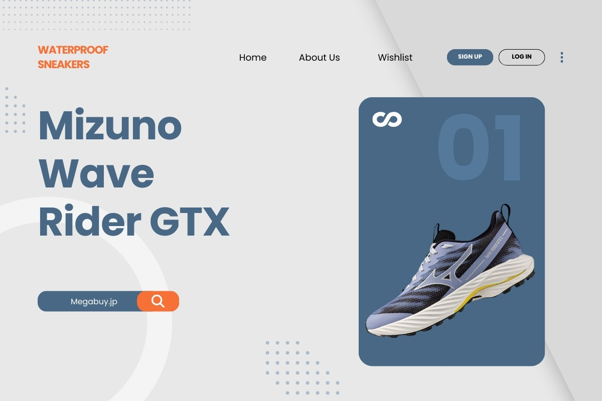 Mizuno Wave Rider GTX.jpg